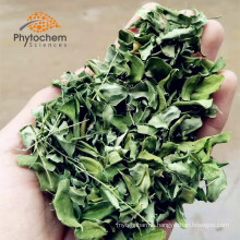 hot sell healthcare buyers organic moringa leaf powder